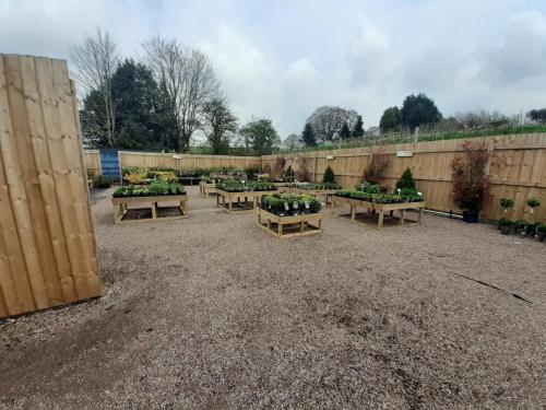 Draycott-Nurseries-21